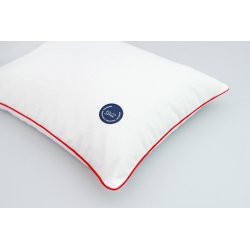 Gaja pillow with millet hull 30x40 - different colours